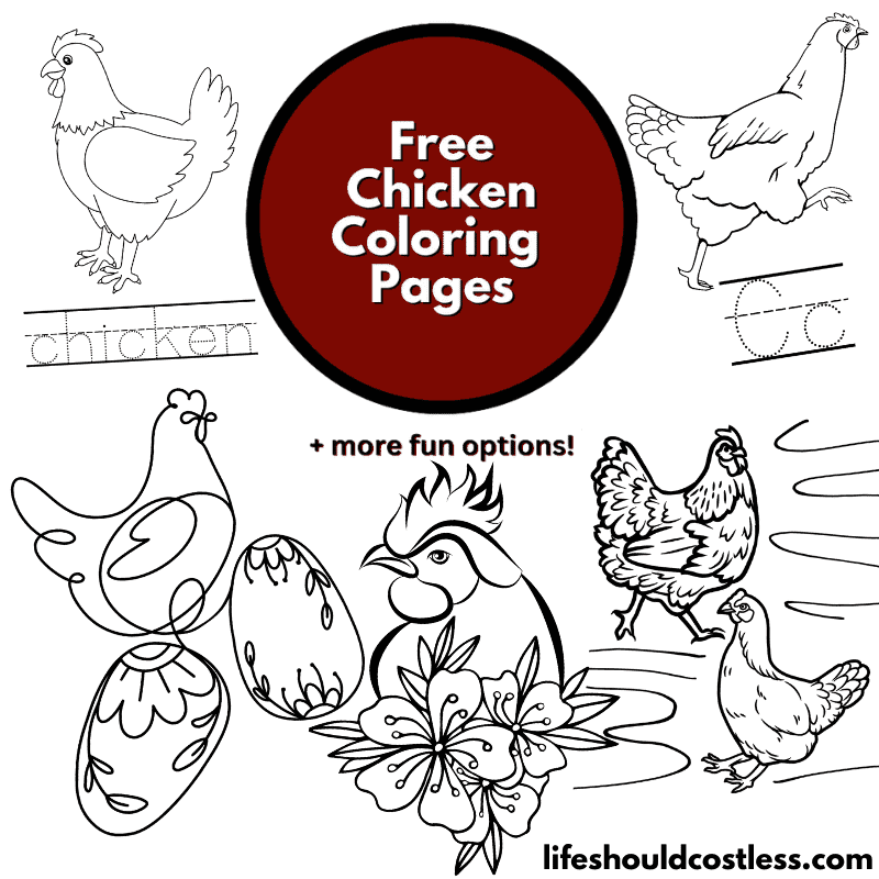 Chicken coloring pages free printable pdf templates