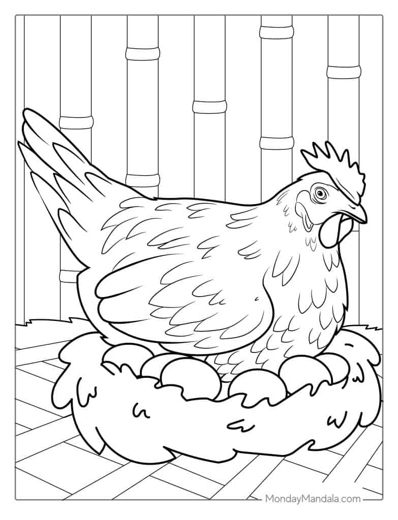 Chicken coloring pages free pdf printables