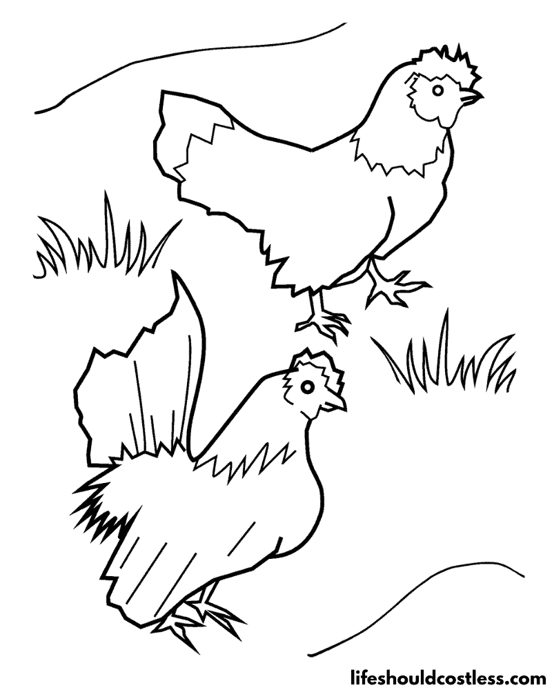 Chicken coloring pages free printable pdf templates