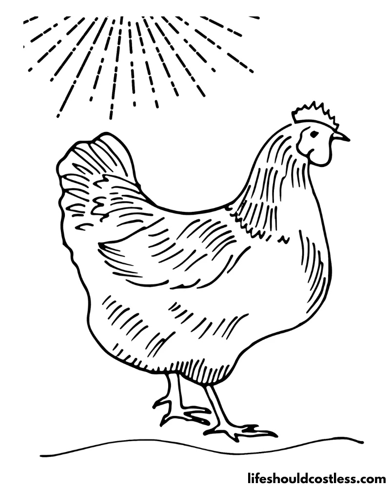 Chicken coloring pages free printable pdf templates