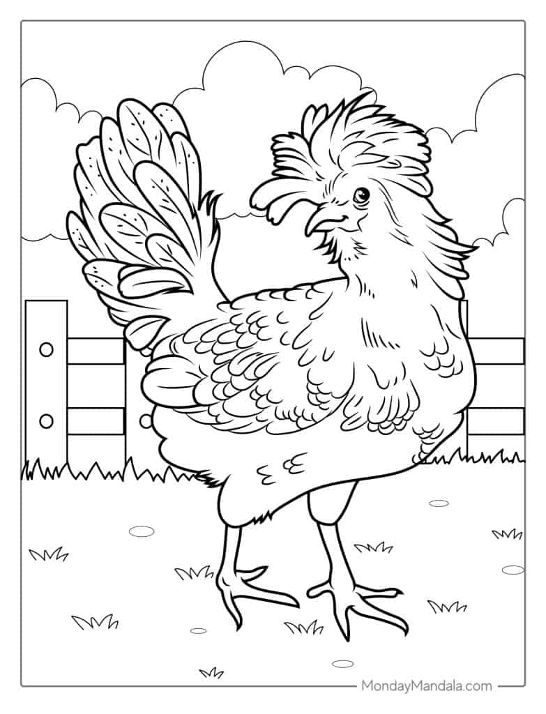 Chicken coloring pages free pdf printables