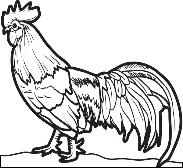 Printable realistic chicken coloring page for kids â
