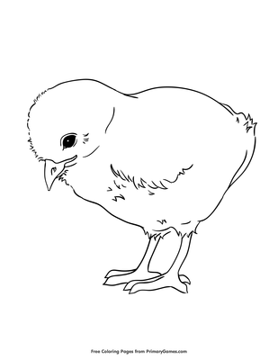 Baby chicken coloring page â free printable pdf from