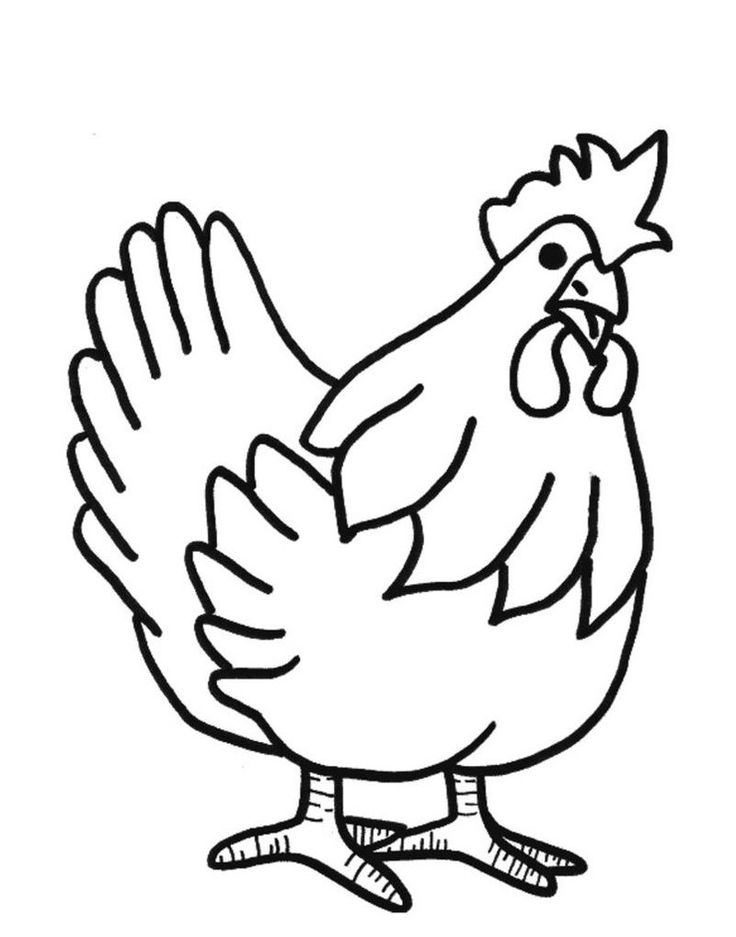 Cute chicken coloring pages pdf for children