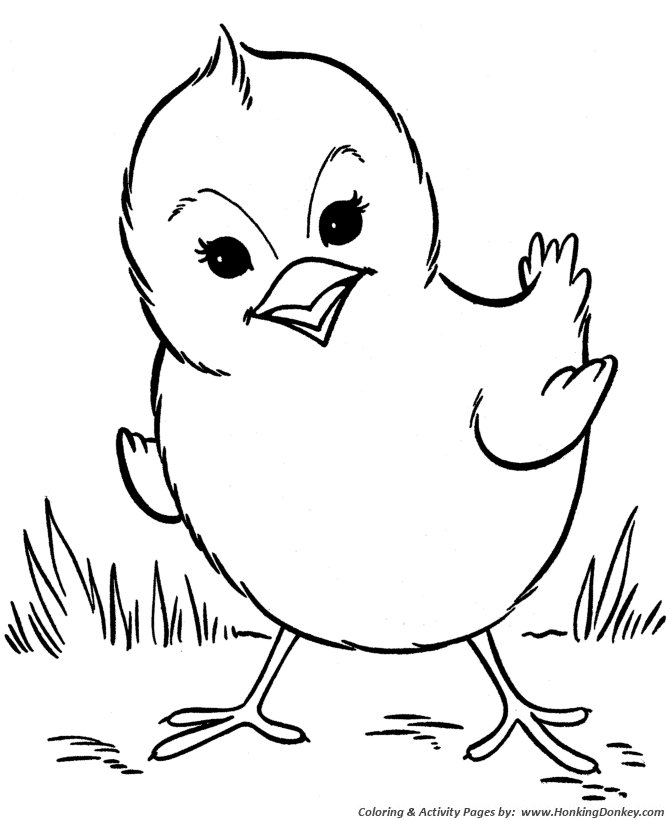 Farm animal coloring pages spring baby chick coloring page and kids activity sheet