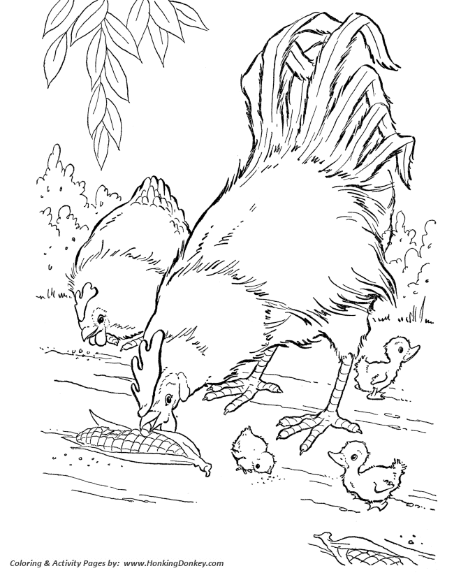 Farm animal coloring pages printable chickens coloring page corn fed chickens