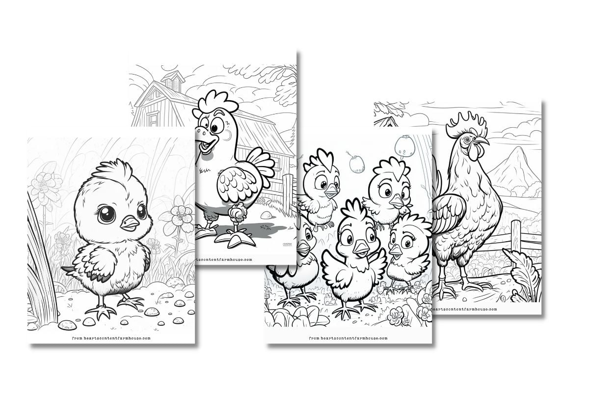 Free chicken coloring pages kid and adult versions hearts content farmhouse