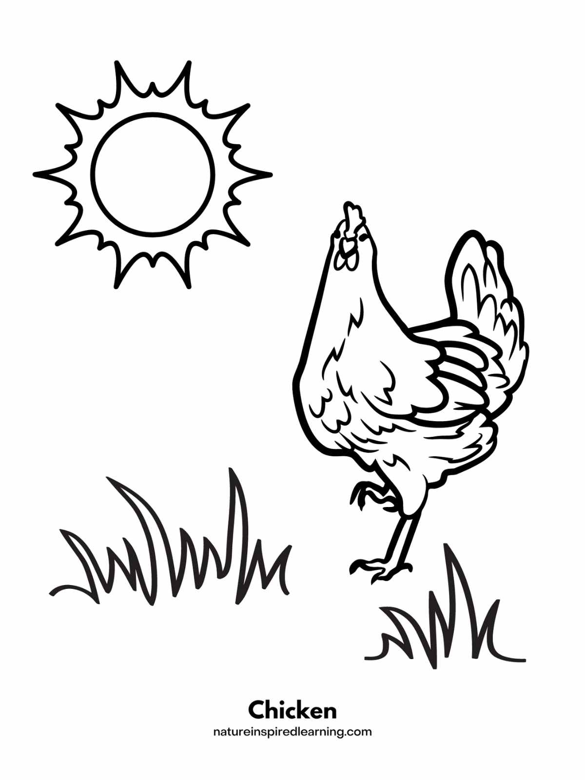 Adorable chicken coloring pages