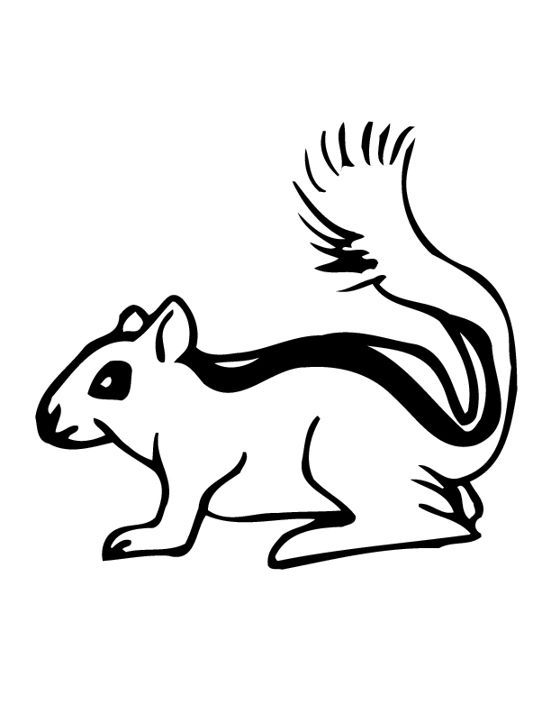 Chipmunk coloring pages