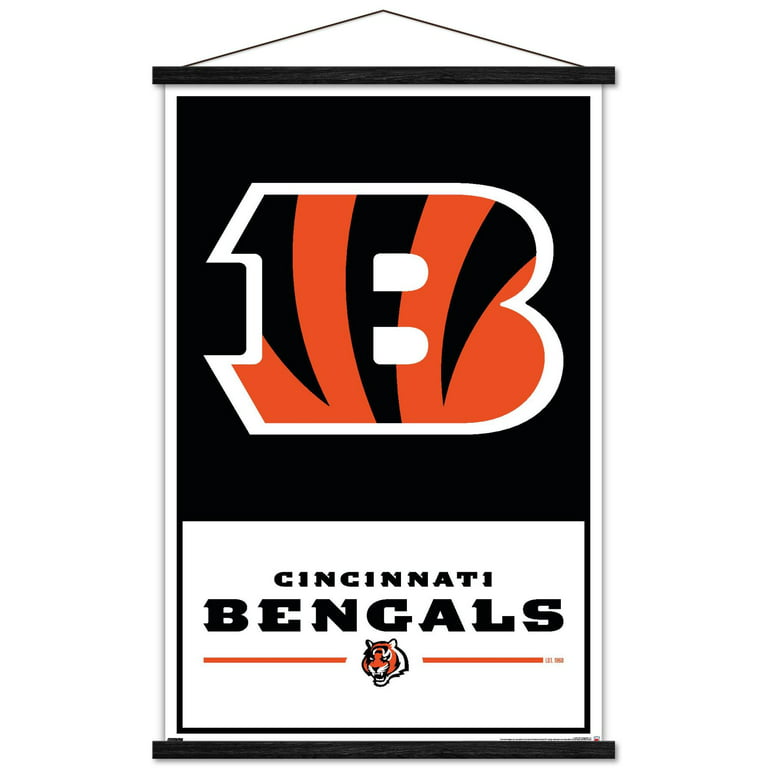 Nfl cincinnati bengals