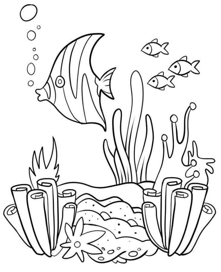 Coral reef coloring pages printable for free download