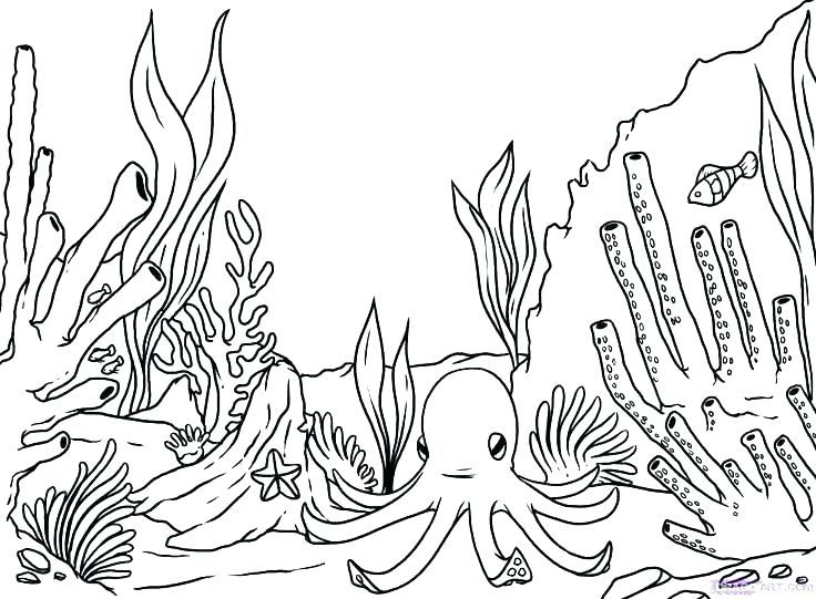 Free printable ocean coloring pages for kids pãginas para colorear del ocãano arrecifes de coral pãginas para colorear