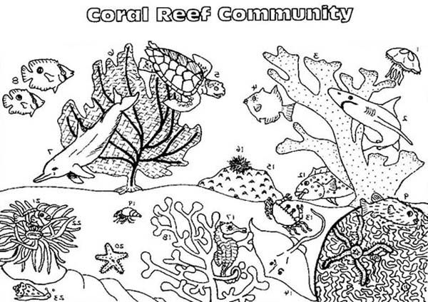 Coral reef fish munity coloring pages kids play color coloring pages fish coloring page jesus coloring pages