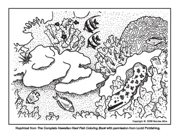 Coral reef coloring sheets with info about reef etiquette tpt