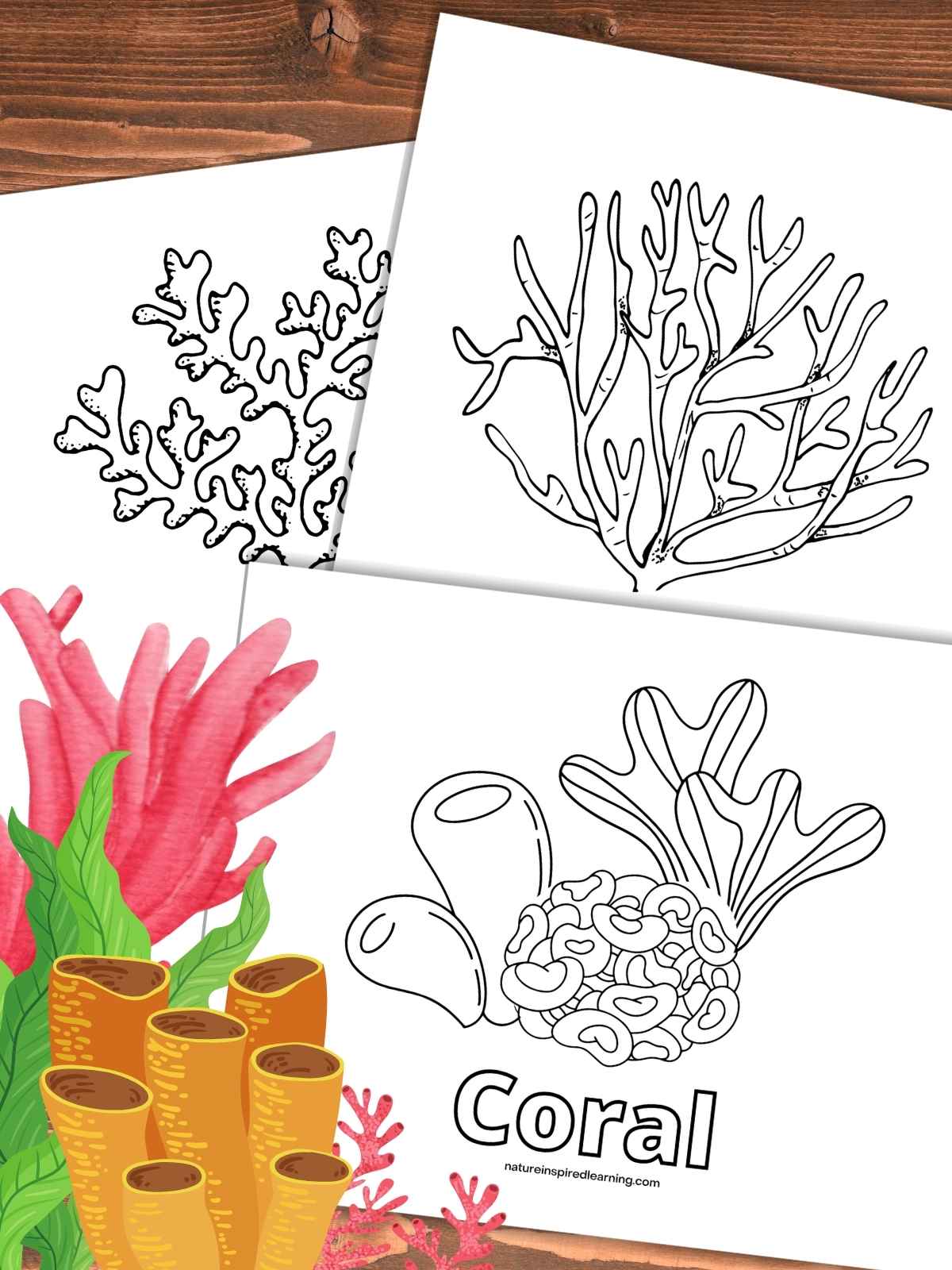 Coral reef coloring pages for kids