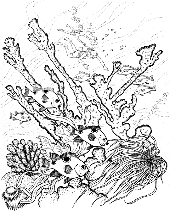Coral coloring page