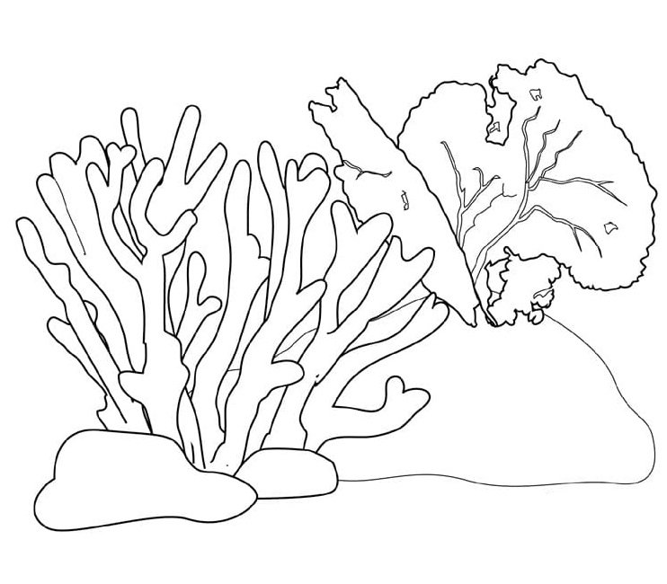 Coral reef coloring pages printable for free download