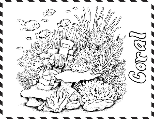 Premium vector coral reef coloring page drawing for kids