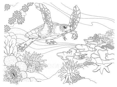 Ocean coloring pages coral reef drawing coloring pages