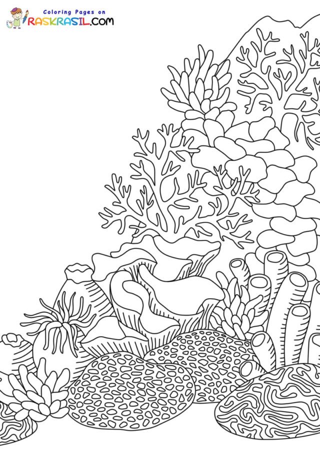 Coral reef coloring pages printable for free download