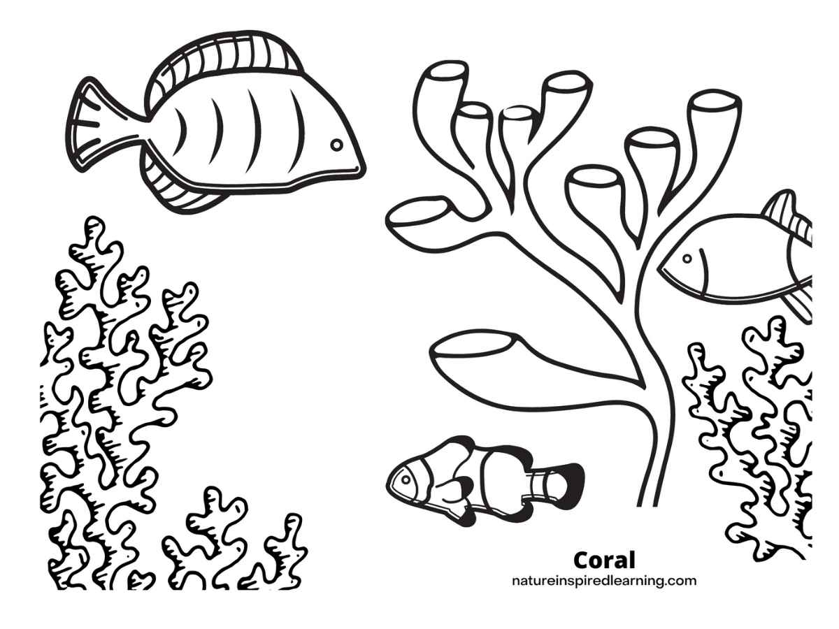 Coral reef coloring pages for kids