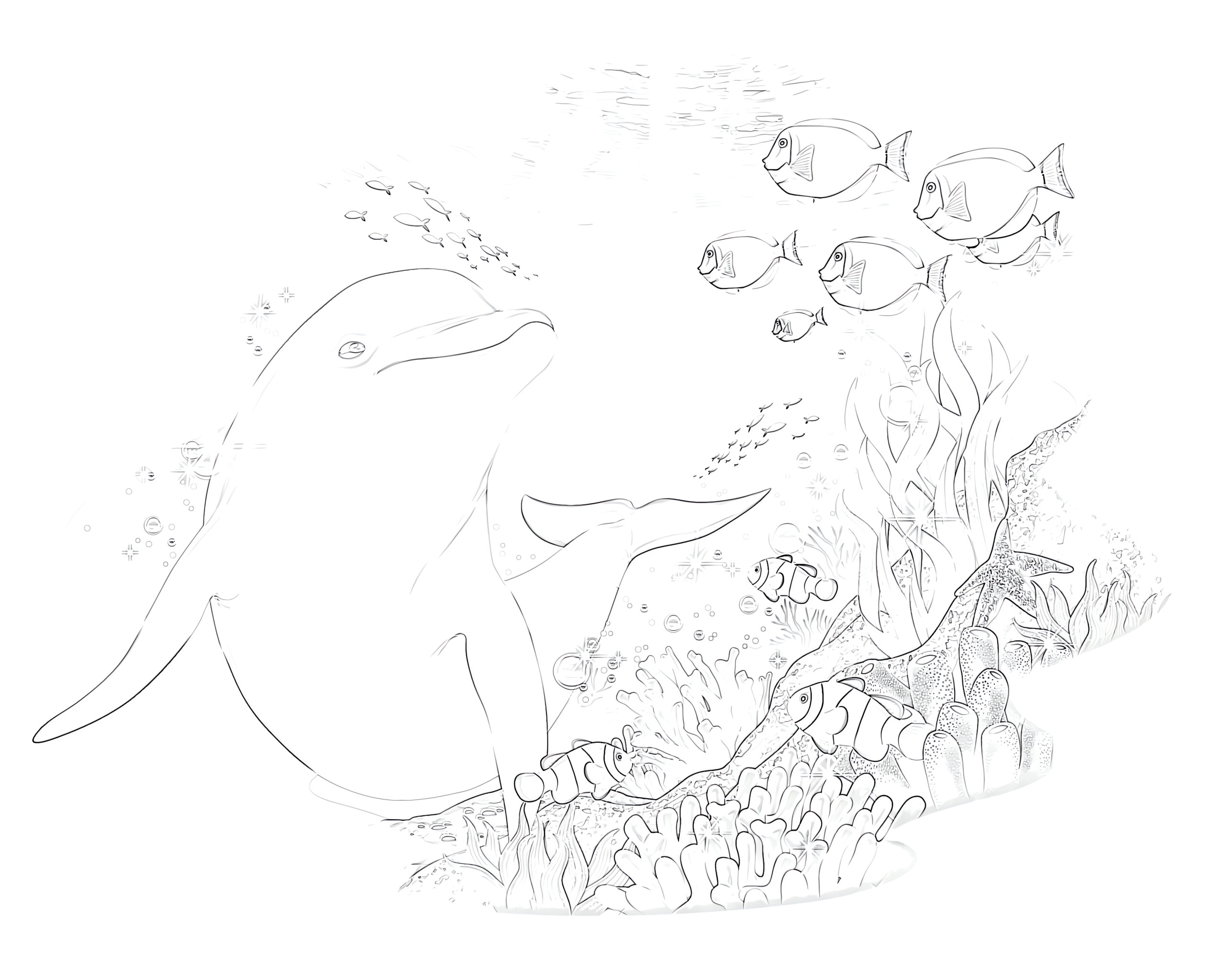 Dolphin and coral reef coloring page