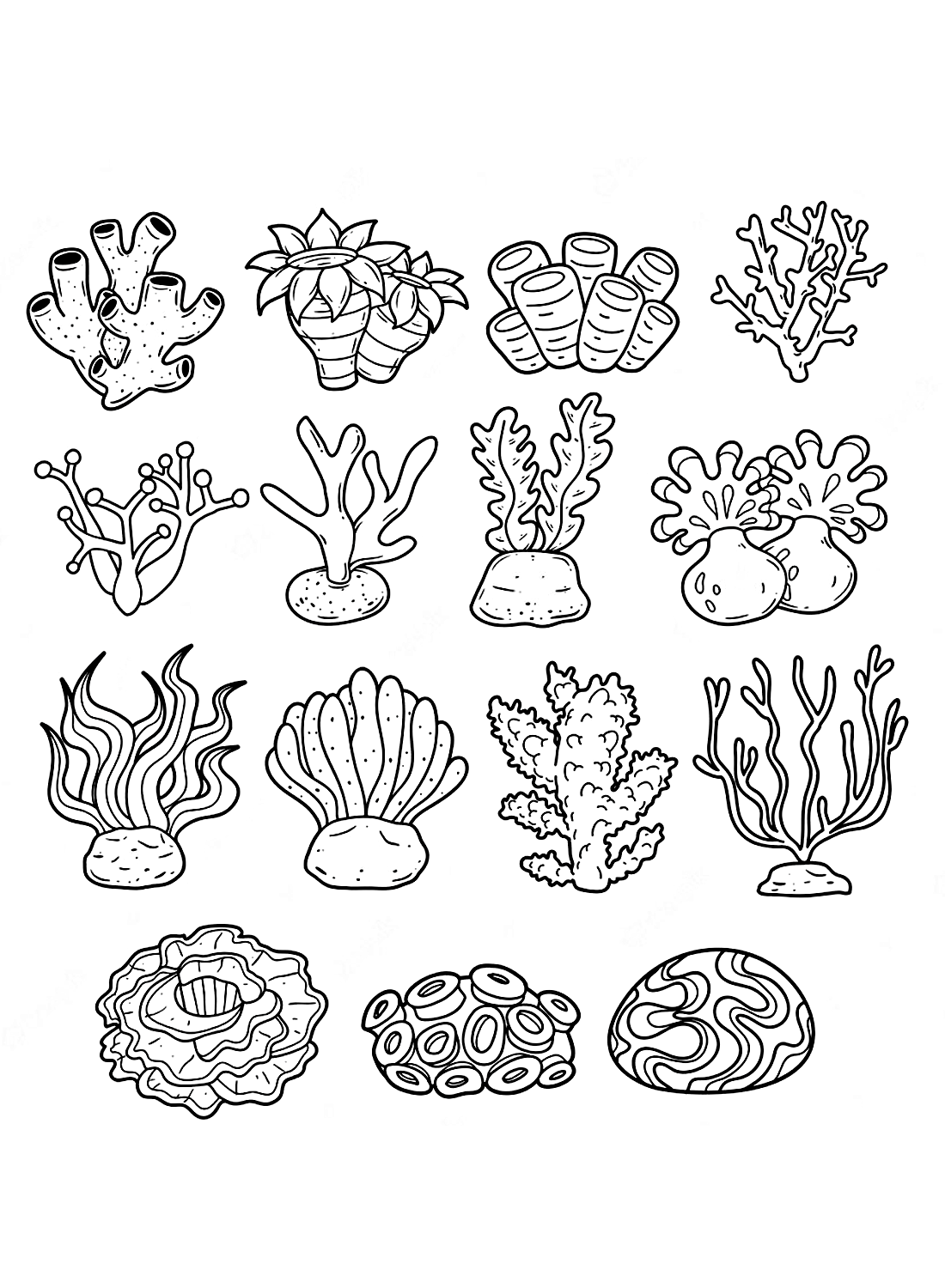 Coral coloring pages