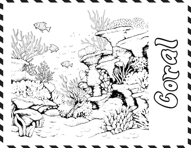 Premium vector coral reef coloring page drawing for kids