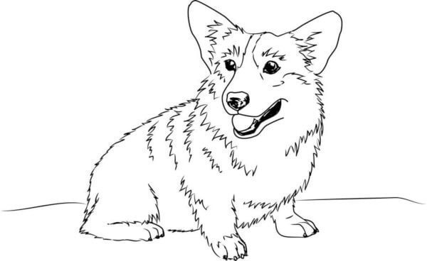 The pembroke welsh corgi really feels the mood of his owners coloring page