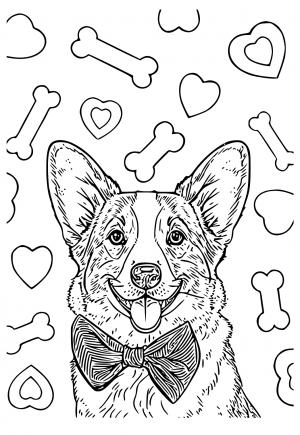 Free printable corgi coloring pages for adults and kids