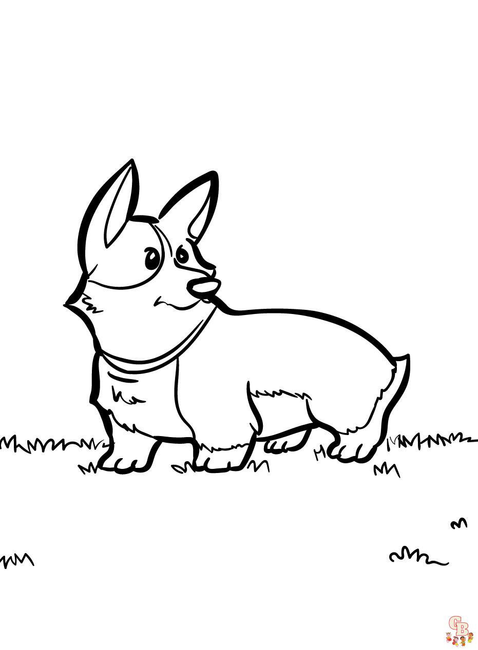 Cute corgi on grass coloring pages fun and free printable sheet