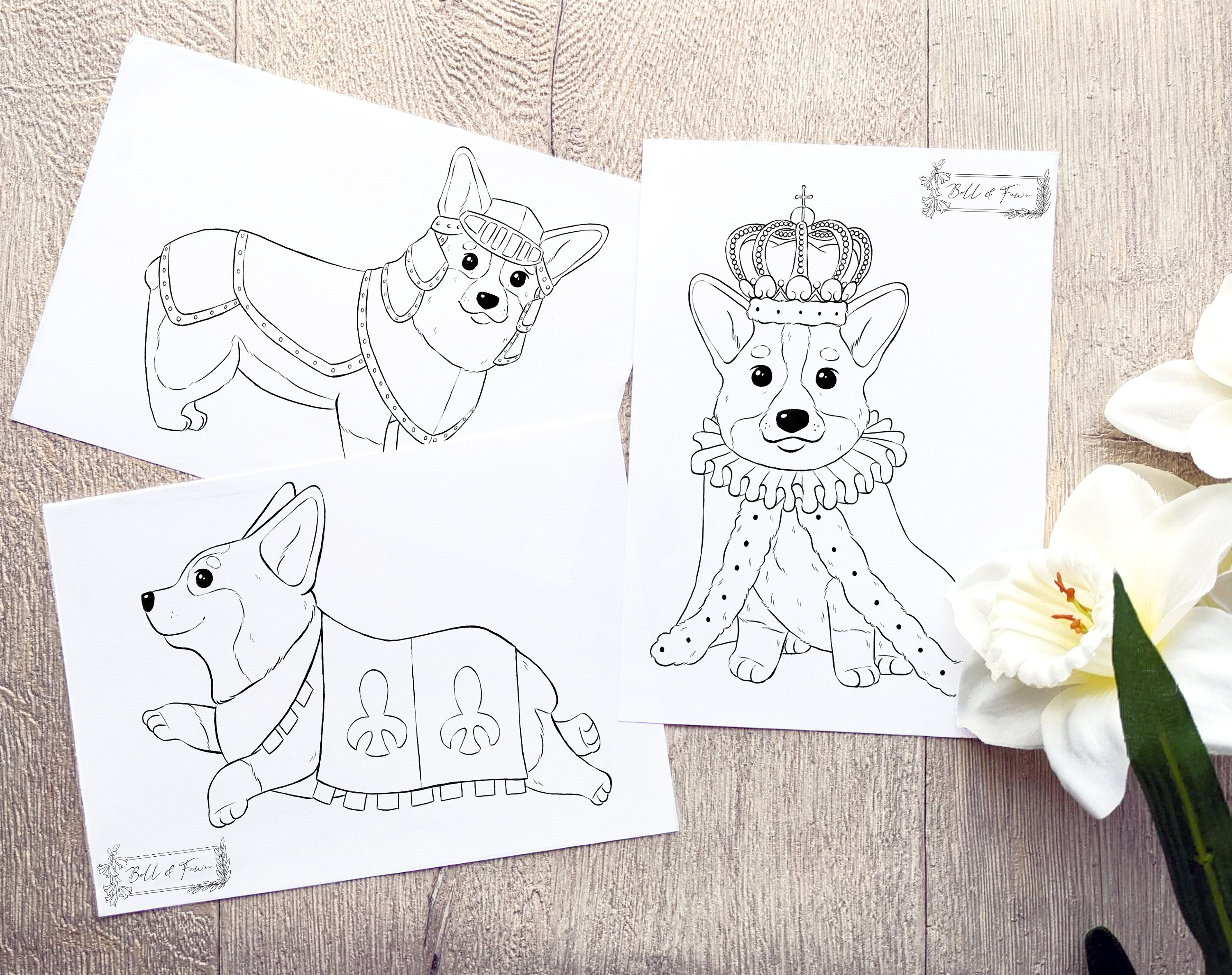 Printable royal corgi colouring pages medieval dogs colouring sheets digital download