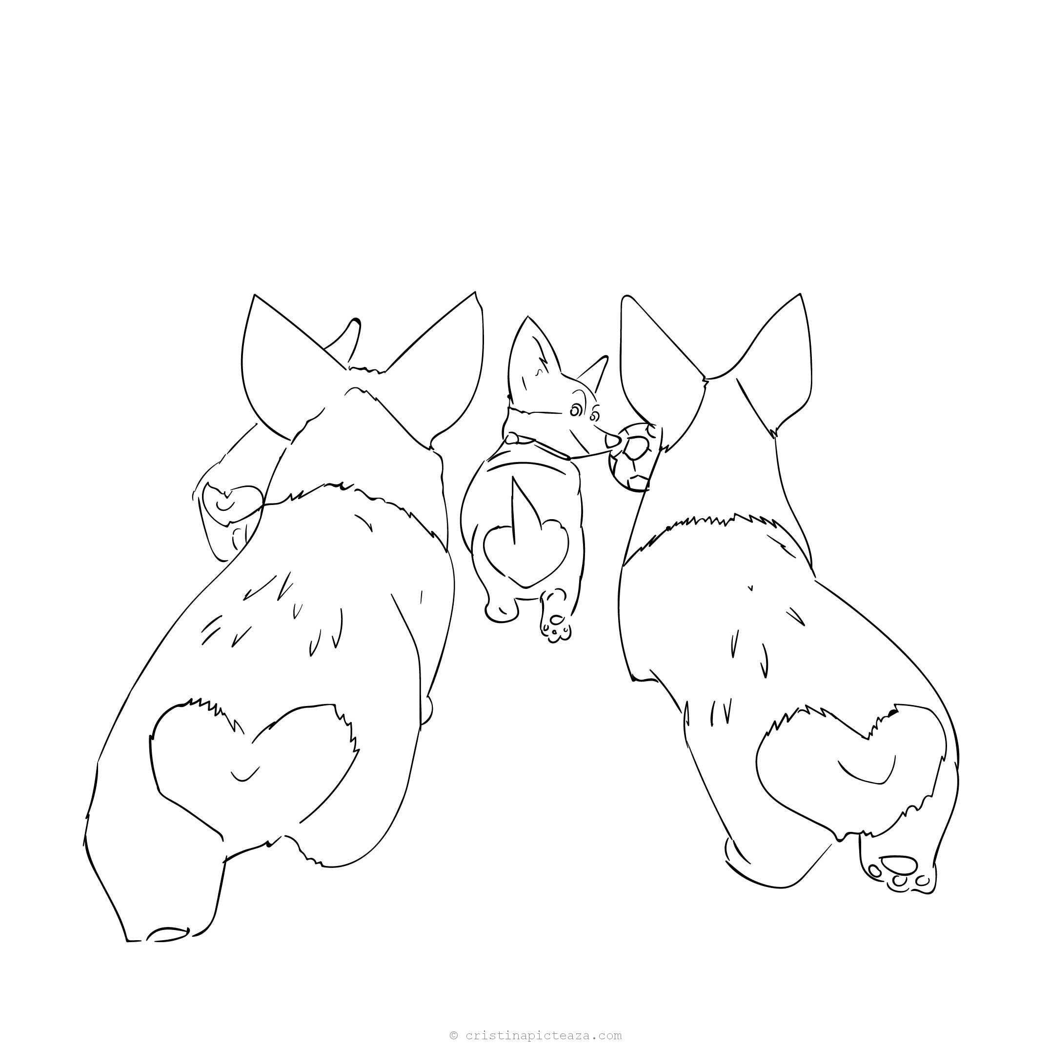 The queens corgi coloring pages â dog coloring pages