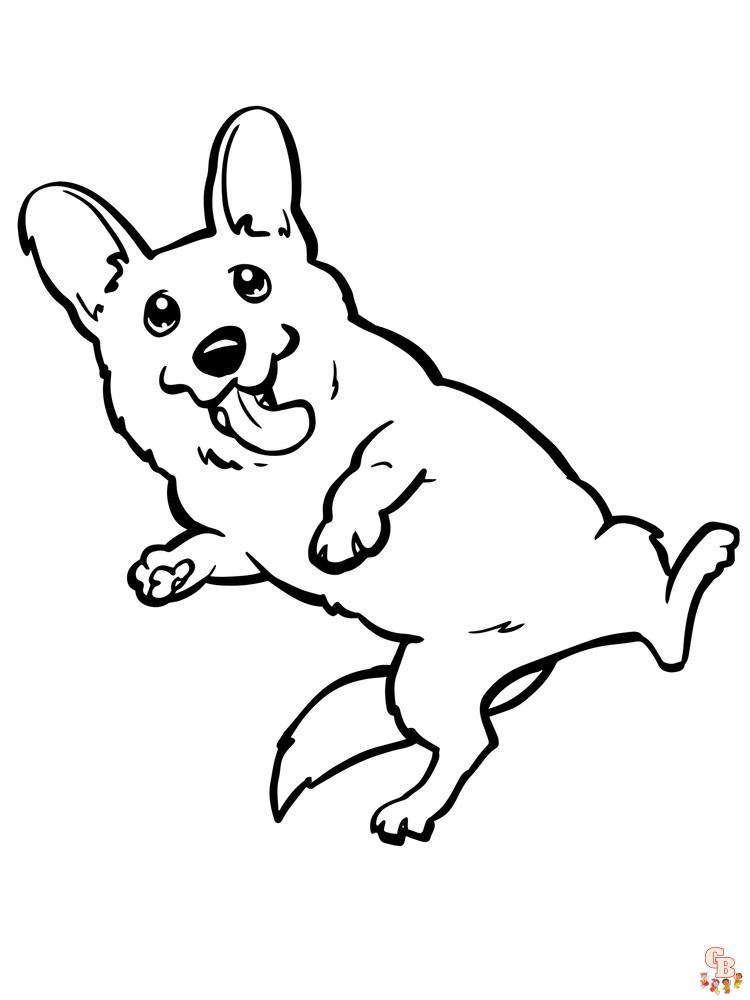 Free corgi coloring pages download print today