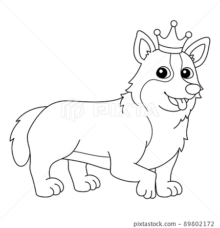 Corgi dog coloring page isolated for kids