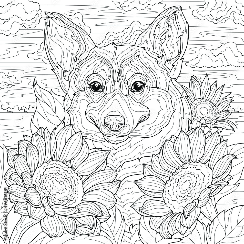 Corgi dog and sunflowerscoloring book antistress for children and adults illustration isolated on white backgroundzen