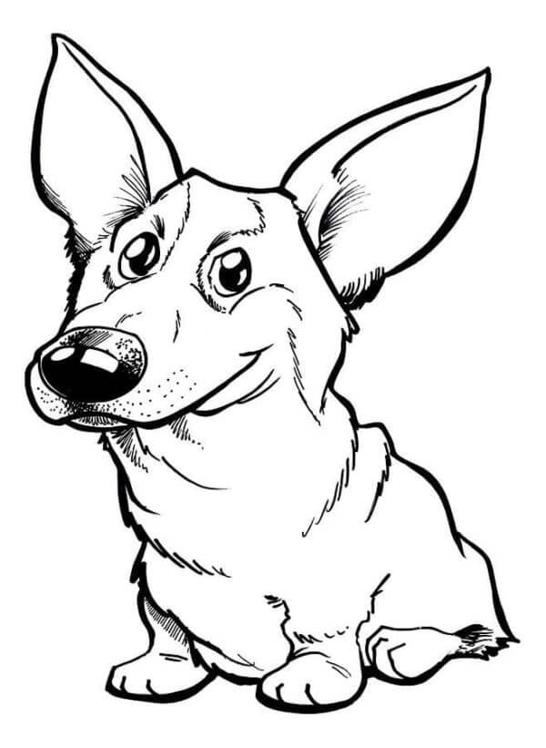 Eared milsh welsh corgi coloring page