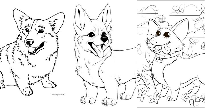 Cute corgi coloring pages free printable