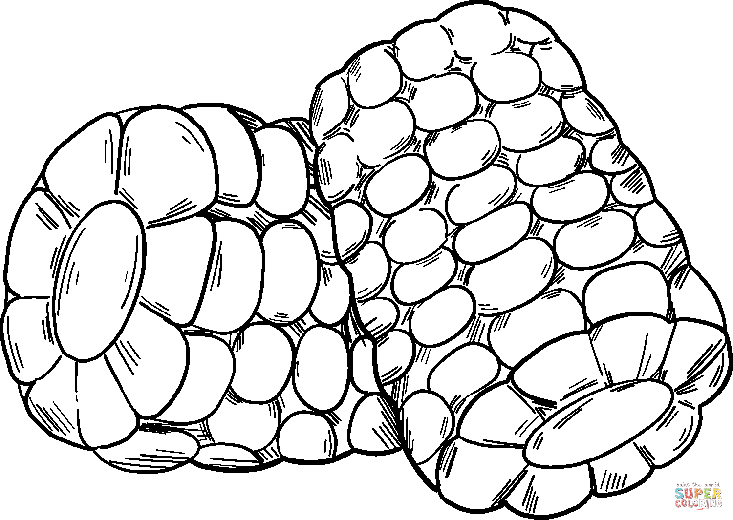 Corn coloring page free printable coloring pages