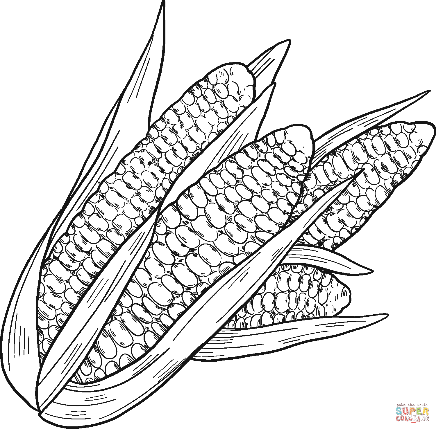 Corn cobs coloring page free printable coloring pages