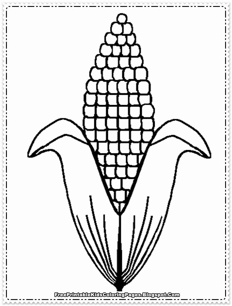 Corn on the cob coloring page best of corn coloring pages printable free printable kids warna gambar buah