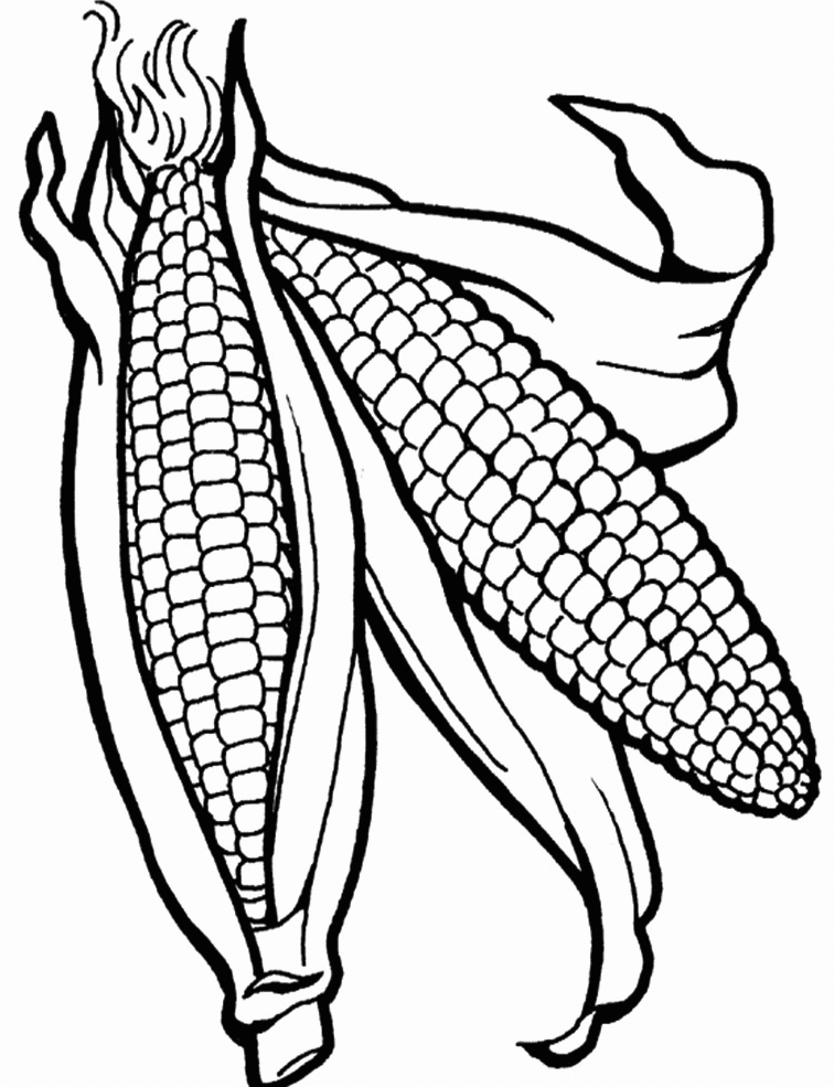 Corn coloring pages