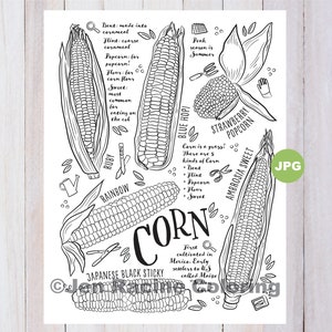 Corns coloring page