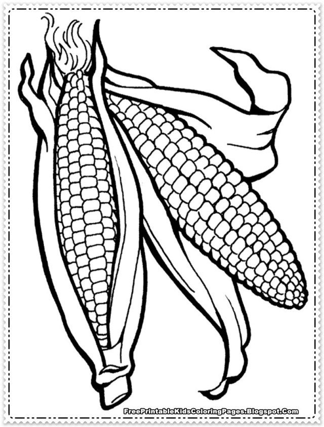 Exclusive picture of corn coloring page