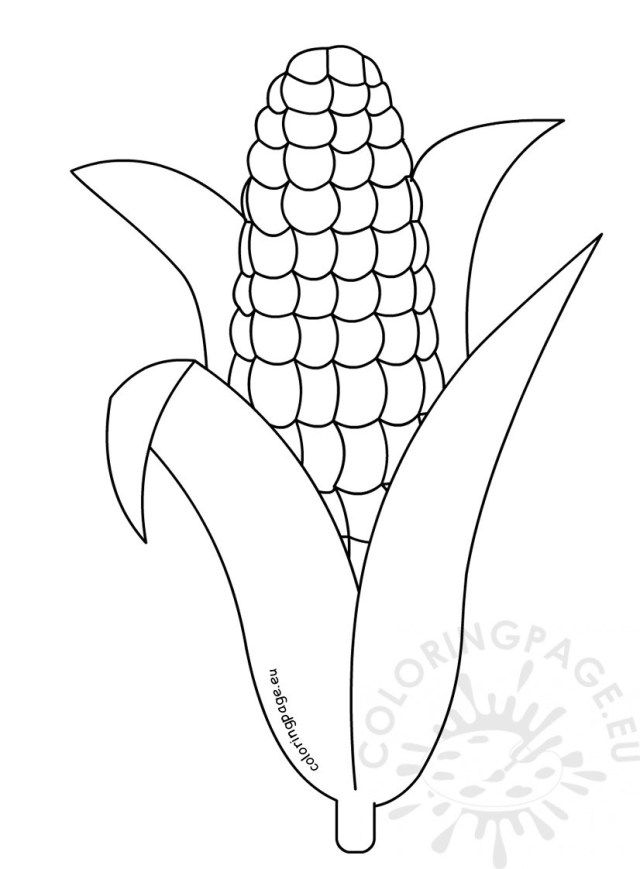 Exclusive picture of corn coloring page