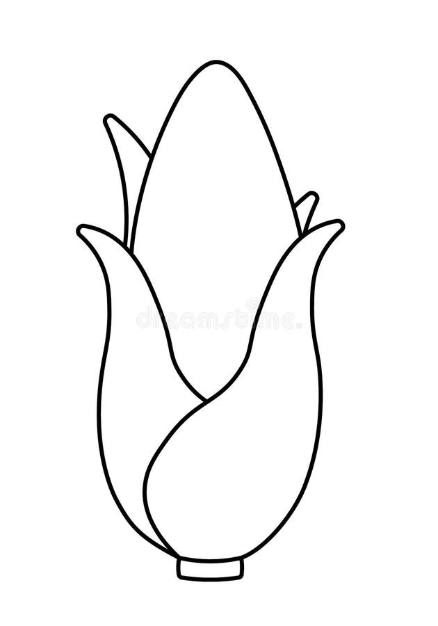 Corn coloring page stock illustrations â corn coloring page stock illustrations vectors clipart