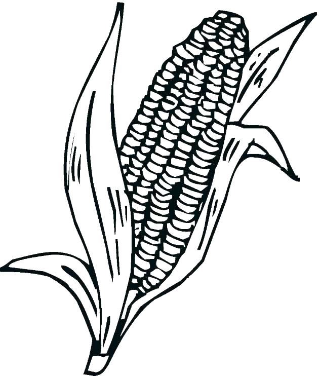 Corn coloring pages