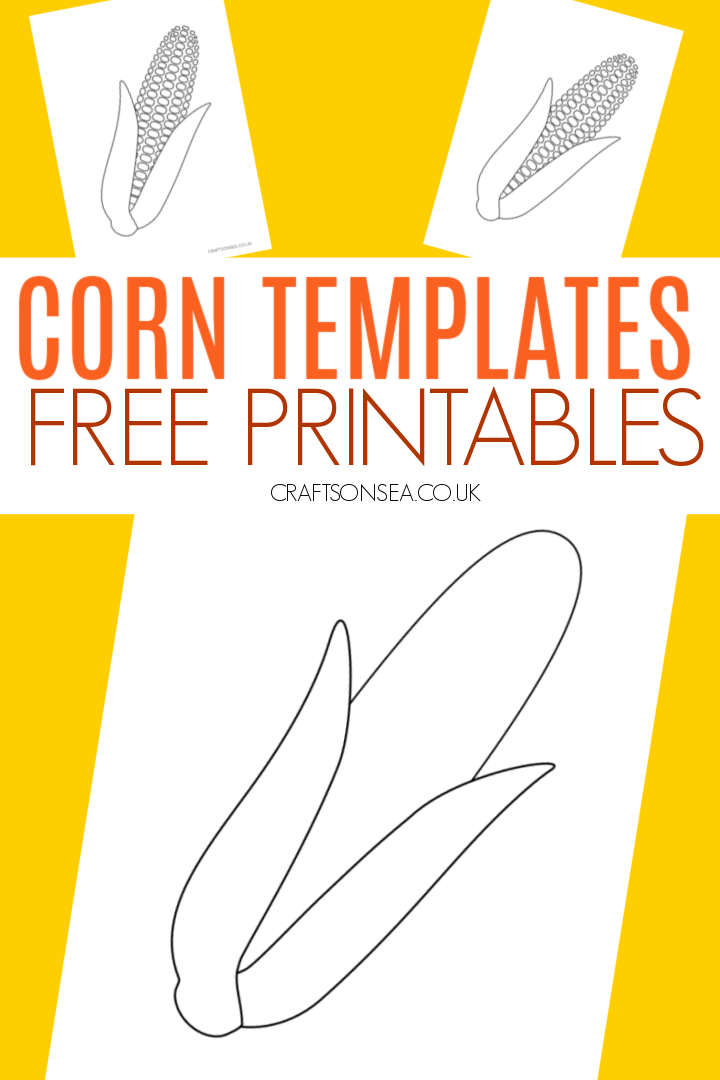 Rn template free printable pdf