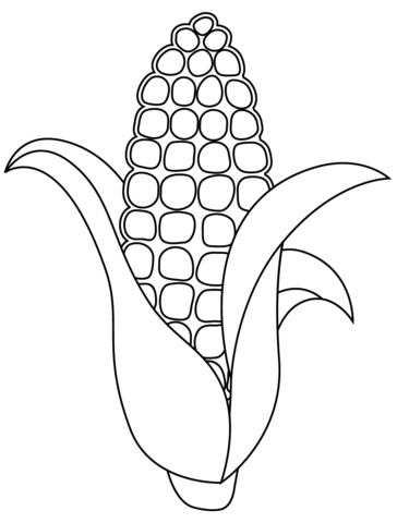 Corn stalk coloring page free printable coloring pages