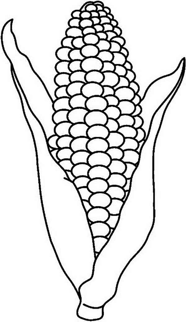 Corn coloring page